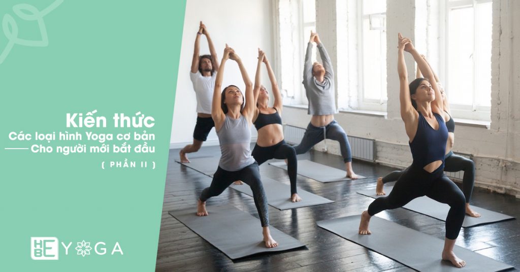 Kiến thức các loại hình Yoga cơ bản dành cho người mới bắt đầu