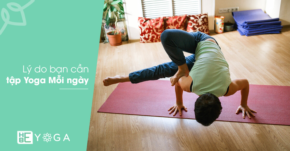 Lý Do Bạn Cần Tập Yoga Mỗi Ngày